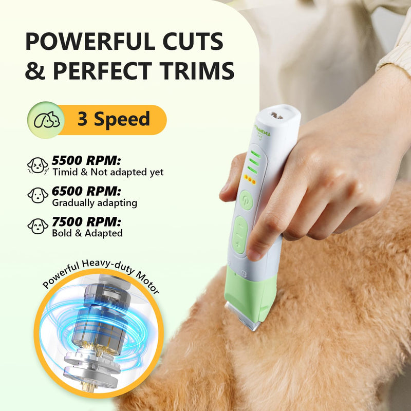 SUPRENT Dog Grooming Kit, 4 in 1 Quiet Pet Clippers for Grooming Supplies, Cordless Cat Paw Trimmer Dog Nail Grinder, Professional Long Hair Shaver Set for Cat Matted Hair and Small Dogs Thick Coats Green - PawsPlanet Australia