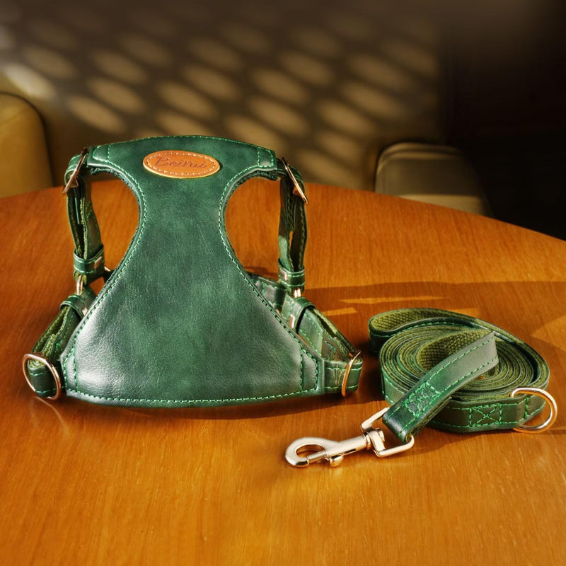 Beirui ?Stylish PU Leather Dog Harness? and Leash Set for Small Dogs, ?Adjustable Step in Puppy Harness with Breathable Mesh Lining and Durable Metal Buckle for Walking Traveling(Green,XS) XS: Fit 4-11lbs Green - PawsPlanet Australia