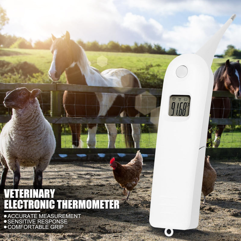Professional Pet Veterinary Thermometer, LCD Display Fast Digital Thermometer for Livestock Pigs Cattle Sheep Dogs Horse