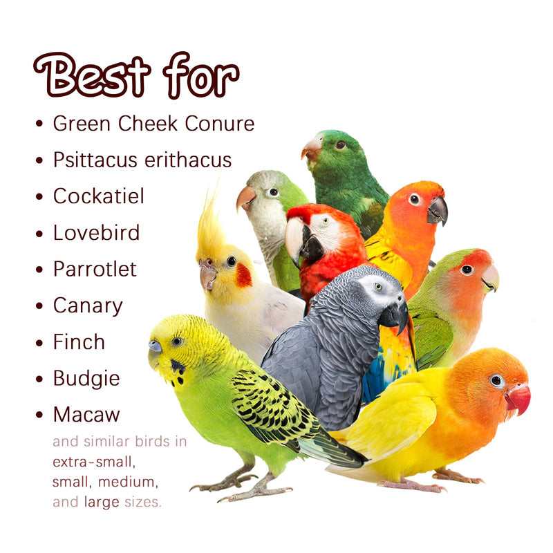 Nut Perch Stand with Interchangeable Materials – Natural, Safe Bird Playset for Beak Exercise & Mental Stimulation Nutty Nature Charms - PawsPlanet Australia