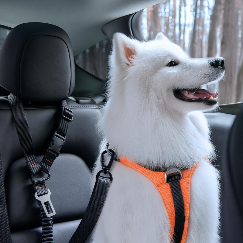 Spigen 2 in 1 Car Seat Belt Tether for Dogs (Headrest & Seatbelt Buckle) | High-Strength Heavy-Duty Strap | Adjustable Anti-Shock Bungee Leash Black for all pets - PawsPlanet Australia