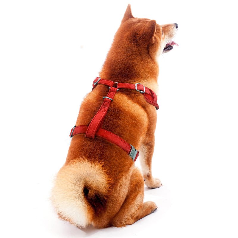 Littlearth NCAA Unisex-Adult NCAA Velvet Pet Harness Georgia Bulldogs Small Team Color - PawsPlanet Australia