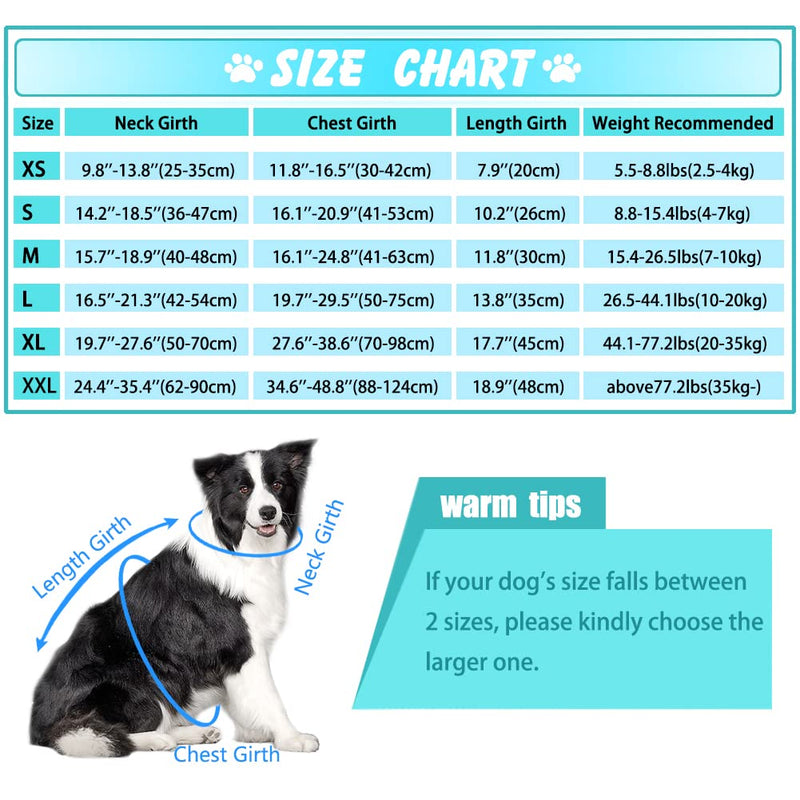 EMUST Life Jacket for Large Dogs, Dog Life Vest for Small/Medium/Large Dogs with Double Rescue Handles, High Reflective Dog Life Preserver for Swimming, Turquoise,L L - PawsPlanet Australia