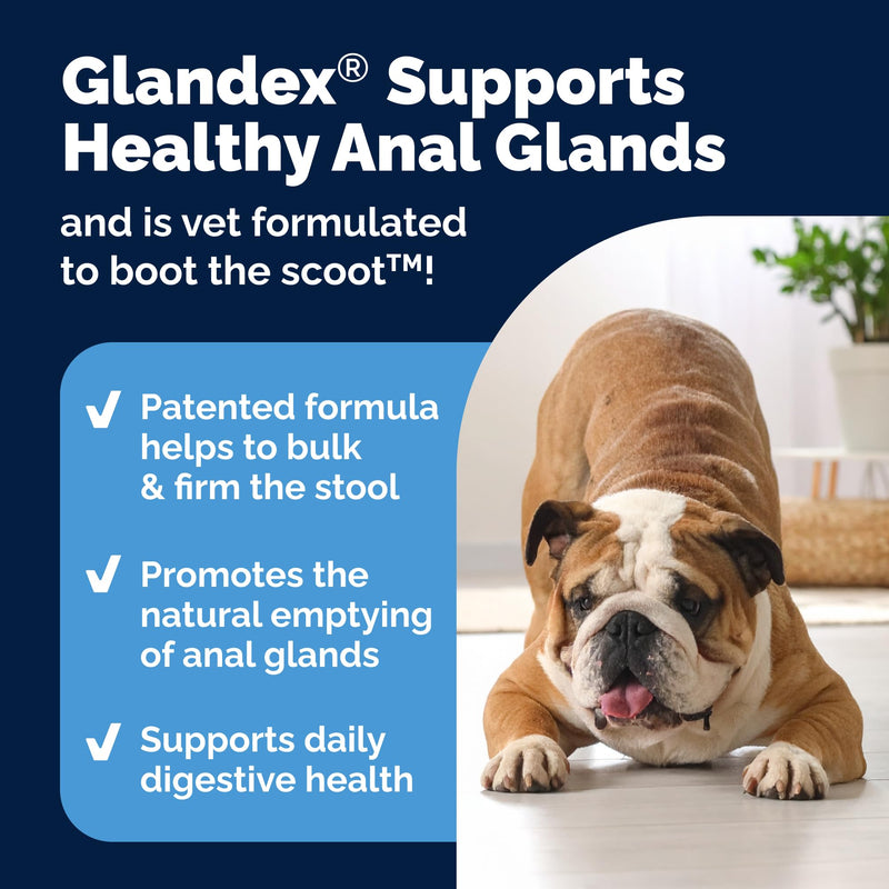 Vetnique Glandex Anal Gland Soft Chew Treats with Pumpkin for Dogs Digestive Enzymes, Probiotics Fiber Supplement for Dogs Boot The Scoot (Bacon Flavor Chews, 30 Count) Bacon Flavor Chews 30ct - PawsPlanet Australia