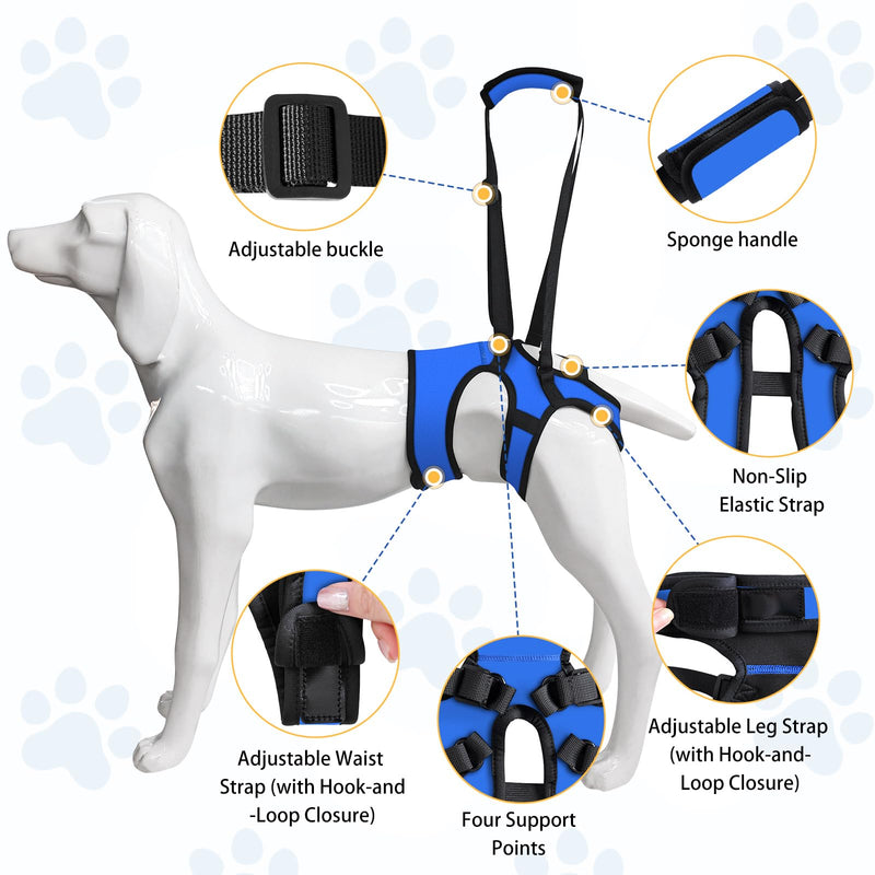 LIANZIMAU Dog Sling for Large Dogs Adjustable Hind Leg Support Lift Harness Senior Canine Mobility Aid Carrier for Back Legs Walking Rehabilitation Royal Blue L - PawsPlanet Australia
