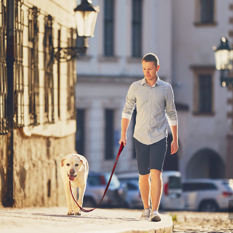 PetiFine 4FT Heavy Duty Dog Leash with Soft Padded Double Handle, Durable Strong Clasp Dog Leashes, Reflective Nylon Walking Lead for Large,Medium,Small Breed Dogs, Red 4 FT x 1 in Wide - PawsPlanet Australia