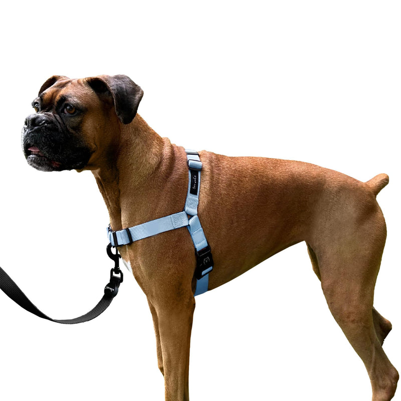 ShawnCo Dream Walk No-Pull Dog Harness- Adjustable, Comfortable, Easy to Use Pet Halter to Help Stop Pulling for Small, Medium and Large Dogs (Moonglow, M) MoonGlow - PawsPlanet Australia