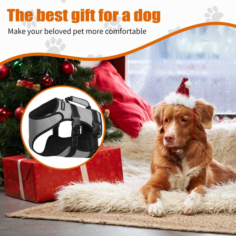 Ayquez Dog Lift Harness with Storage and Transport Bag, Dog Harness with Handle for Lifting & Hip dysplasia, arnés para Perros pequeños, pechera para Perros (Gray, M) Gray - PawsPlanet Australia