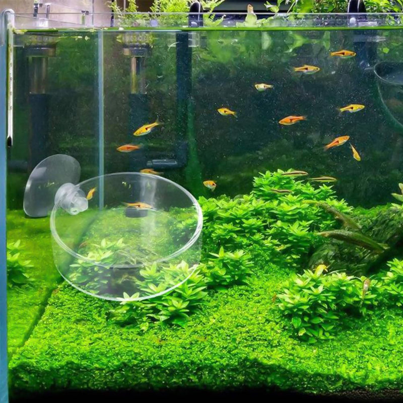 2 Pack 60mm Aquarium Shrimp Feeder Dish with Suction, Round Clear Fish Tank Food Tray Container, Feeder Bowl, Prevent Food Spilling - PawsPlanet Australia