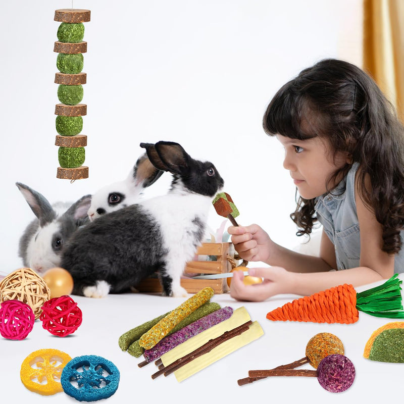 Rabbit Toys Bunny Chew Toys for Teeth, Hamster/Guinea Pig Toys Natural Timothy Hay Sticks Treats Balls and Apple Wood Sticks for Chinchilla, Guinea Pig, Hamster Pet Chew and Play Bundle