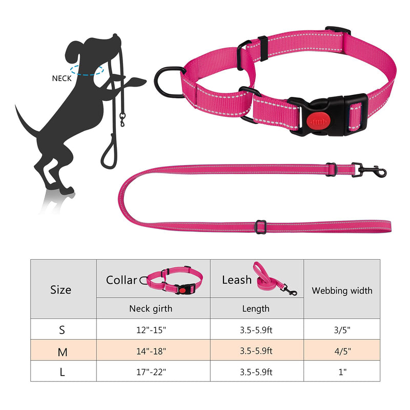 Martingale Dog Collar and Leash Set Martingale Collars for Dogs Reflective Martingale Collar for Small Medium Large Dogs(Hot Pink&L) L Hot Pink - PawsPlanet Australia