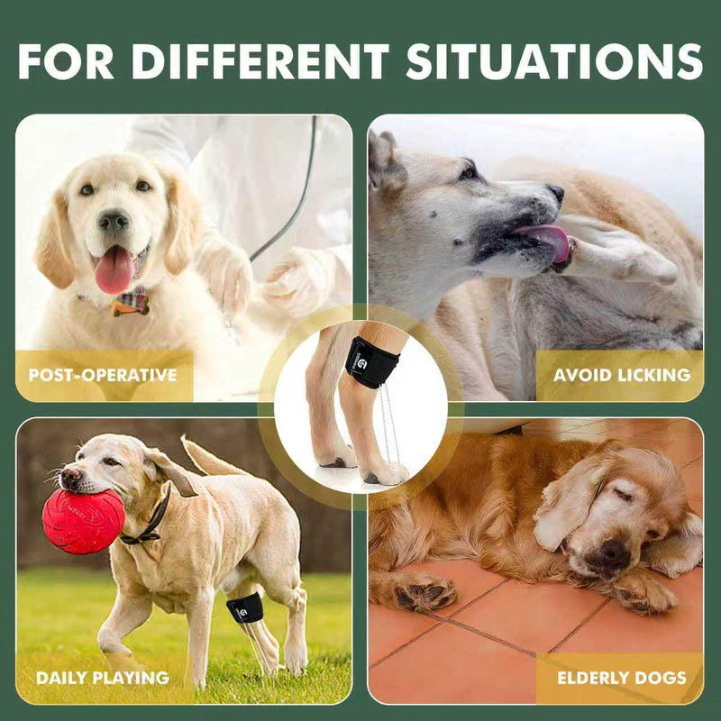 Dog Rear Leg Support Brace for Foot Drop, Canine Knuckling Prevention, Toe Dragging Assistance L