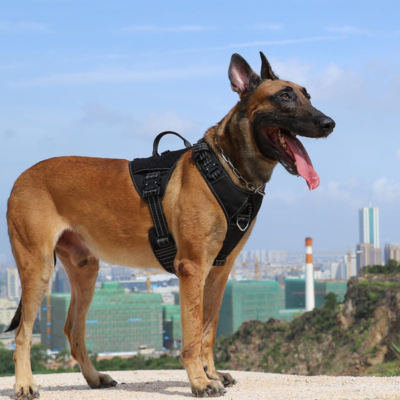 ICEFANG GN8 Tactical Dog Harness with 4X Metal Buckles for Large Sized Dogs,Reflective in Training Walking K9 Vest,No-Pull Front Leash Clip,Adjustable Pet Harness (Black, Large (Pack of 1)) Large (Pack of 1) Black - PawsPlanet Australia