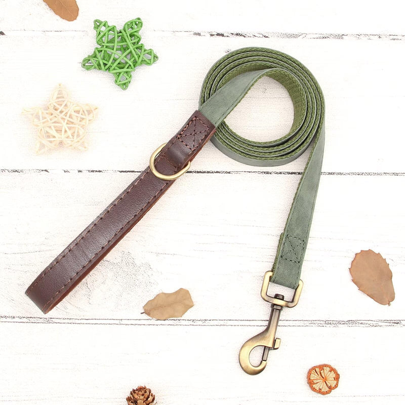 Didog PU Leather Dog Leash for Small Dogs 4.5ft, Soft Padded Handle Dog Leashes for Medium Size, Walking and Training Leashes Faux Leather for Large Pet,Green Green - PawsPlanet Australia