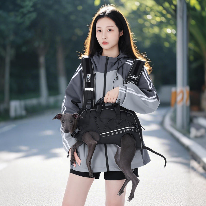 Dog Backpack Carrier for Small Dogs,Dog Lift Harness,Adjustable Padded Breathable Straps for Dogs, Disabled, Joint Injuries, Arthritis,XL(24-35LBS) XL Black - PawsPlanet Australia