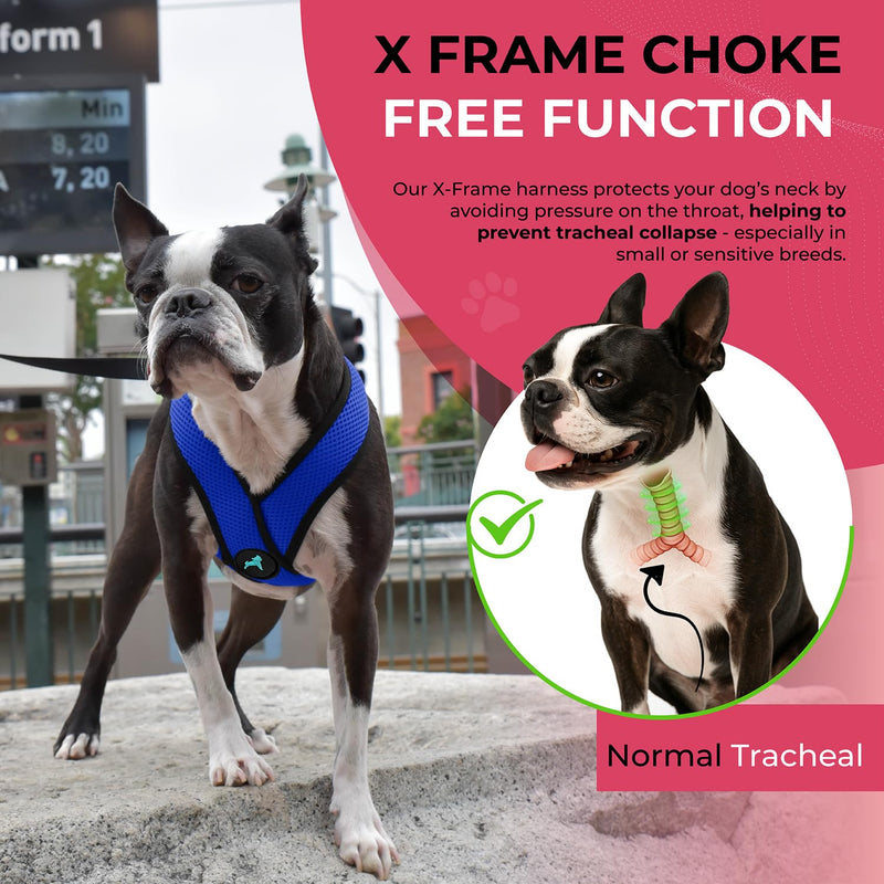 Gooby Choke Free Comfort X Soft Dog Harness, Large, Blue Large Chest (14-19") - PawsPlanet Australia
