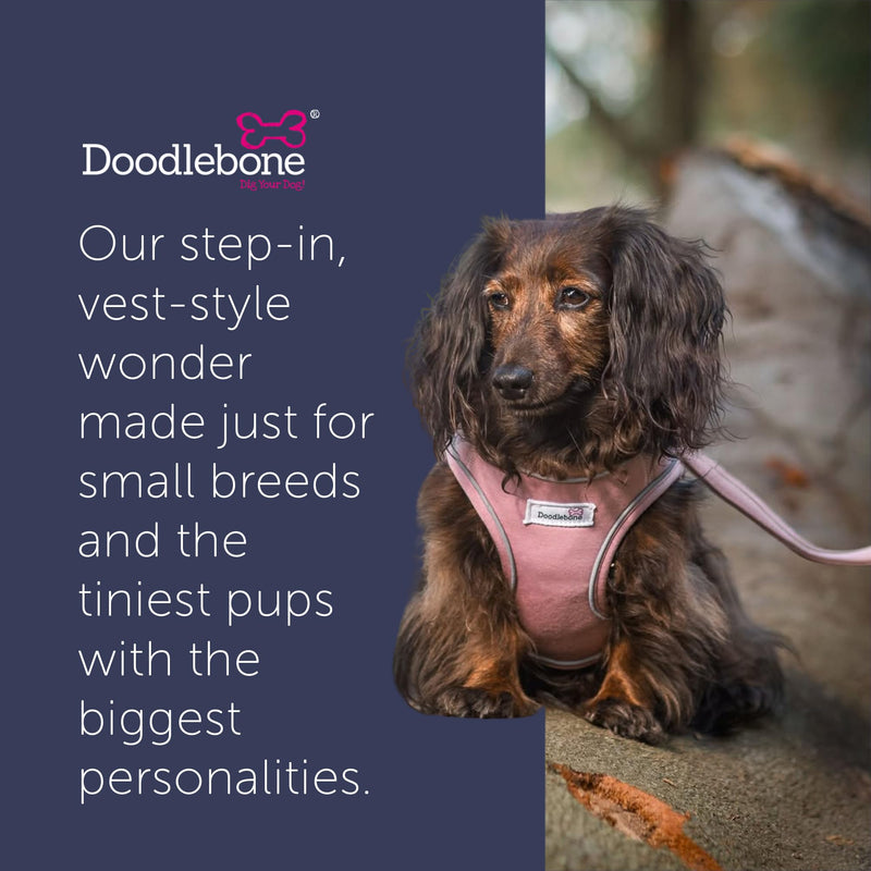 Doodlebone - Dinky Dog Snappy Harness - Step In Vest Style Harness for Small Dogs and Puppies, Lightweight Breathable Fit with Reflective Trim, Secure Fastening - Size 1-2 - Blue Cord - PawsPlanet Australia