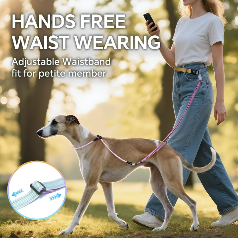 QQPETS Adjustable Slip Lead Dog Leash, Hands Free Waist Leash for Dog Walking, Reflective Training Lead with 360° Swivel Anti-Tangle, 4-7 ft Length for All Breeds Color Gradient - PawsPlanet Australia
