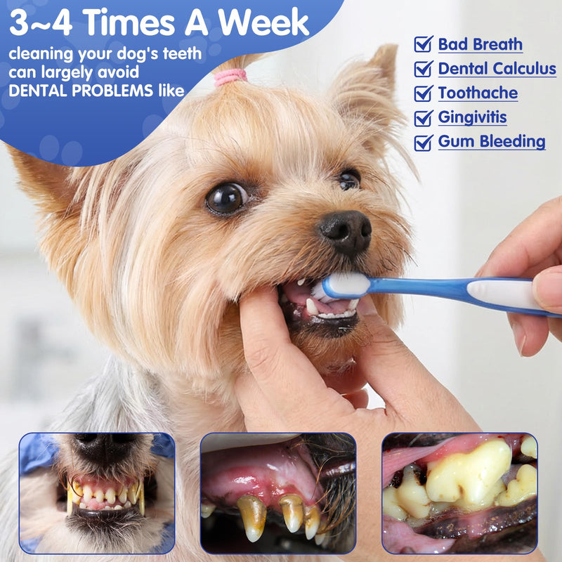 Dog Toothbrush Small Breed, 3 PCS Ultra Soft & Mini Head | Soft Pet Toothbrush, Curved Handle, Gentle Dental Brush, For Yorkie Chihuahua Puppies & Kittens