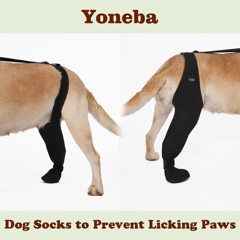 Dog Socks to Prevent Licking Paws ，Breathable Leg Sleeve to Stop Licking and Biting， Firm and Secure Adjustable Size Dog Recovery Sleeve Socks (L-Right) L-Right - PawsPlanet Australia