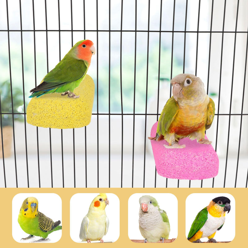 Wontee Bird Chewing Toys Grinding Beak Bird Perch Stand for Budgies Parakeets Cockatiels Lovebirds Conures Rats Squirrels, 2 Packs (Yellow+Fuchsia) Yellow+Fuchsia - PawsPlanet Australia