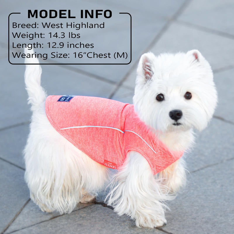 KYEESE 2Pack Reflective Dog Shirt, Lightweight Sun Protection Dog T Shirts for Small Dogs, Breathable Sleeveless Pet Tank Top Summer Dogs Clothes for Night Walking Outdoor, Lake Blue+Rose Red, L Large (13-19lbs) 8# 2Pack (Lake Blue+Rose Red) - PawsPlanet Australia