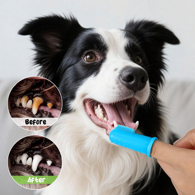 80 Pcs Finger Toothbrushes for Dogs, Food Grade Silicone Soft Pet Finger Brushes Washable Toothbrush for Small Dog Cat Easy Cleaning Dental and Oral Care(4 Colors) - PawsPlanet Australia