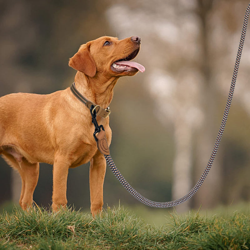 Mile High Life Rope Leash with Genuine Leather Connection, 6 FT/5 FT/4 FT, Heavy Duty Leash for Medium & Large Dogs (Brown, 48 Inch) 48 Inch-1/2" Brown - PawsPlanet Australia