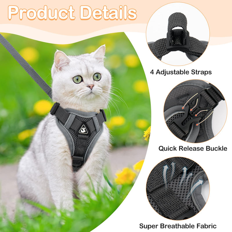 Cat Harness and Leash for Walking & Cat Recovery Suit for Abdominal Wounds or Skin Diseases - PawsPlanet Australia
