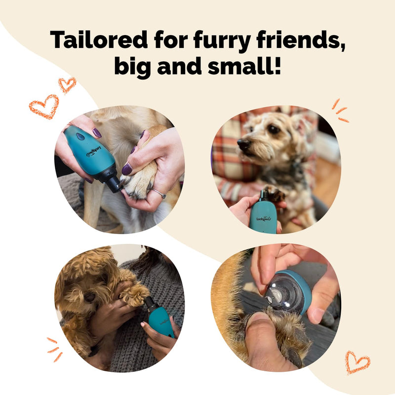 LuckyTail Pet Nail Grinder for Dogs and Cats - Super Quiet and Low Vibration Electric Dog Nail Grinder with 2 LED Lights - USB Rechargeable and Cordless - 2 Speeds - Small to Large Pets - Teal - PawsPlanet Australia