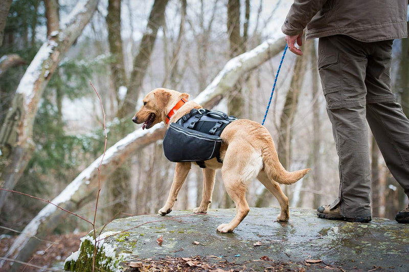 Terrain D.O.G. 07-9421-H2 Adventure Pack, Black/Gray, Large, Black/Grey - PawsPlanet Australia