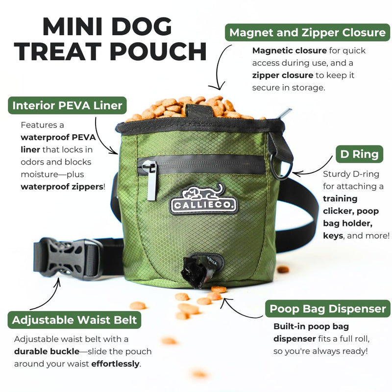 Callieco Mini Dog Treat Pouch with Magnetic & Zipper Closure | Small Waist Belt Training Behavior Aid Bag for Dog Walking with Poop Bag Dispenser (Green) Green - PawsPlanet Australia