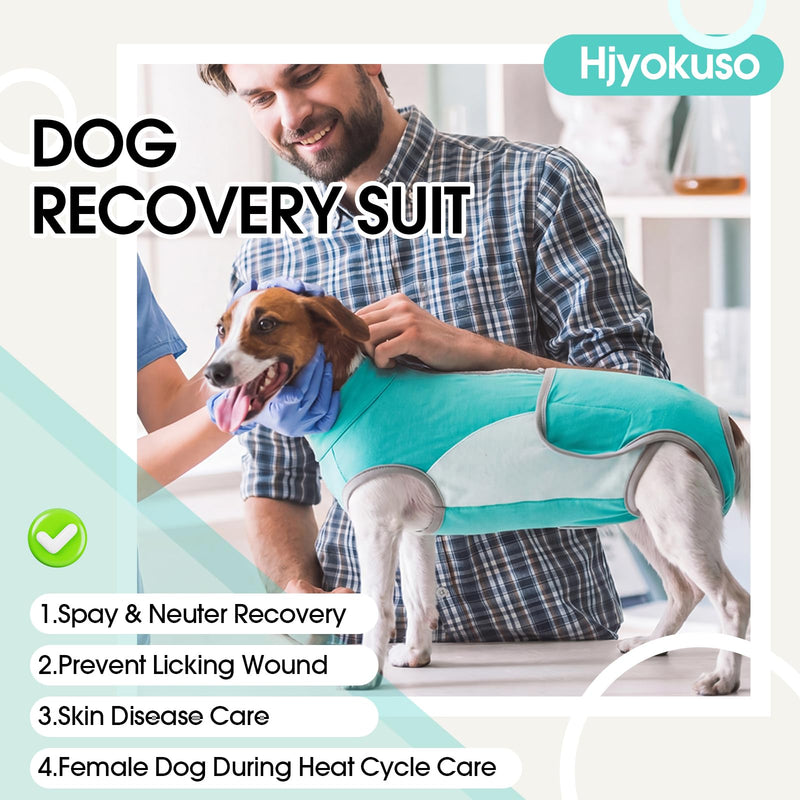Dog Surgery Recovery Suit, Soft Breathable Dog Recovery Suit Female & Male, Dog Onesie After Surgery, Anti Licking Surgical Suit for French Bulldog Beagle Shiba Inu Green M
