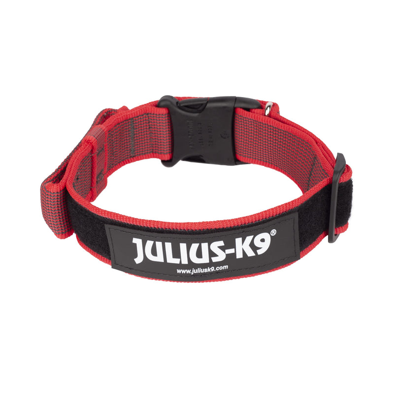 Julius-K9 Color and Gray Collar with Handle and Interchangeable Patch, 40 mm (38-53 cm), Red-Gray 40 mm x 38-53 cm