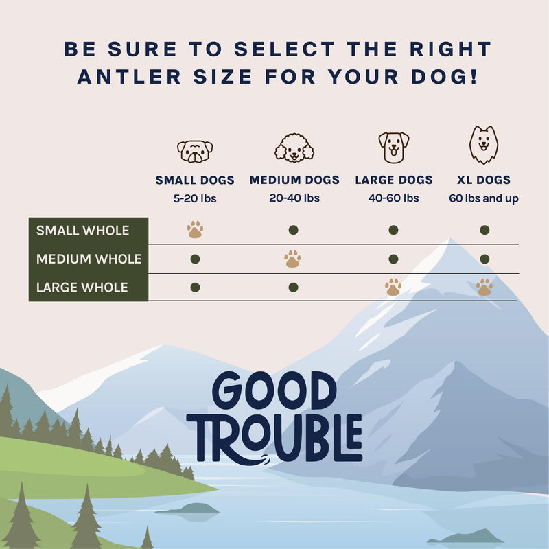 Pets Deer Antler Dog Chews (1 Pack) - Extremely Durable Dog Toys for Aggressive Chewers, Long Lasting, All-Natural, Odorless Dog Bones (1 Whole Antler, Large 8-9 Inches) 1 Whole Antler (Large) 1 Count (Pack of 1) - PawsPlanet Australia