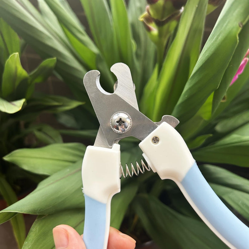 Professional Dog and Cat Claw Care with Nail File, Safety Mechanism, Pet Stainless Steel Claw Pliers, Blue - PawsPlanet Australia