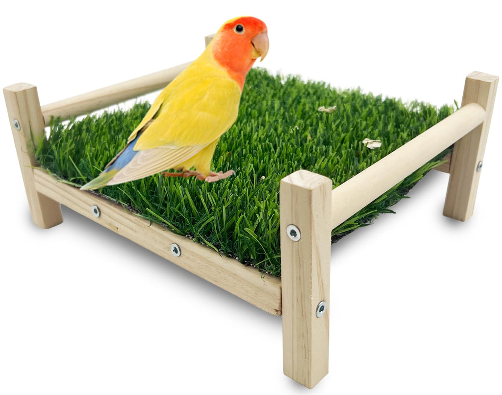 Bird Foraging Bed, Parrot Hammock Bed, Parrot Grass Perch Bed, Bird Perch Conure Platform Grass Forage Toy for Parakeet, Parrot, Cockatiel, Lovebird, Budgie