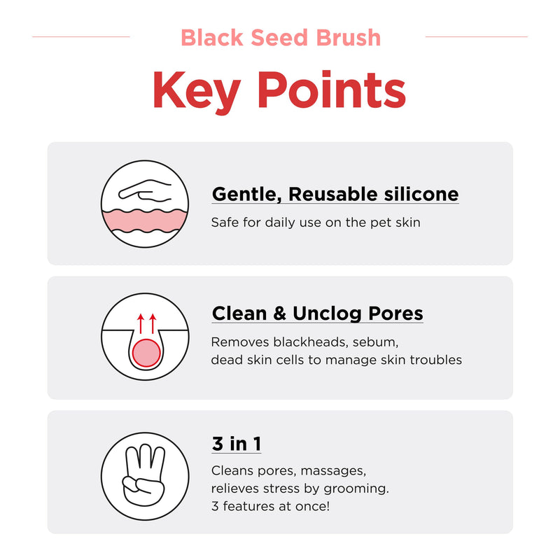 JAYU PET Black Seed Brush - Cat Grooming and Exfoliating Double-Sided Brush for Acne and Chin Treatment (3PCS) 3ea - PawsPlanet Australia