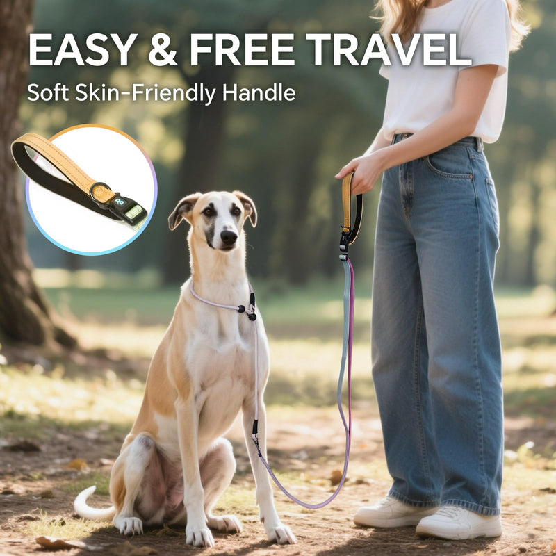 QQPETS Adjustable Slip Lead Dog Leash, Hands Free Waist Leash for Dog Walking, Reflective Training Lead with 360° Swivel Anti-Tangle, 4-7 ft Length for All Breeds Color Gradient - PawsPlanet Australia