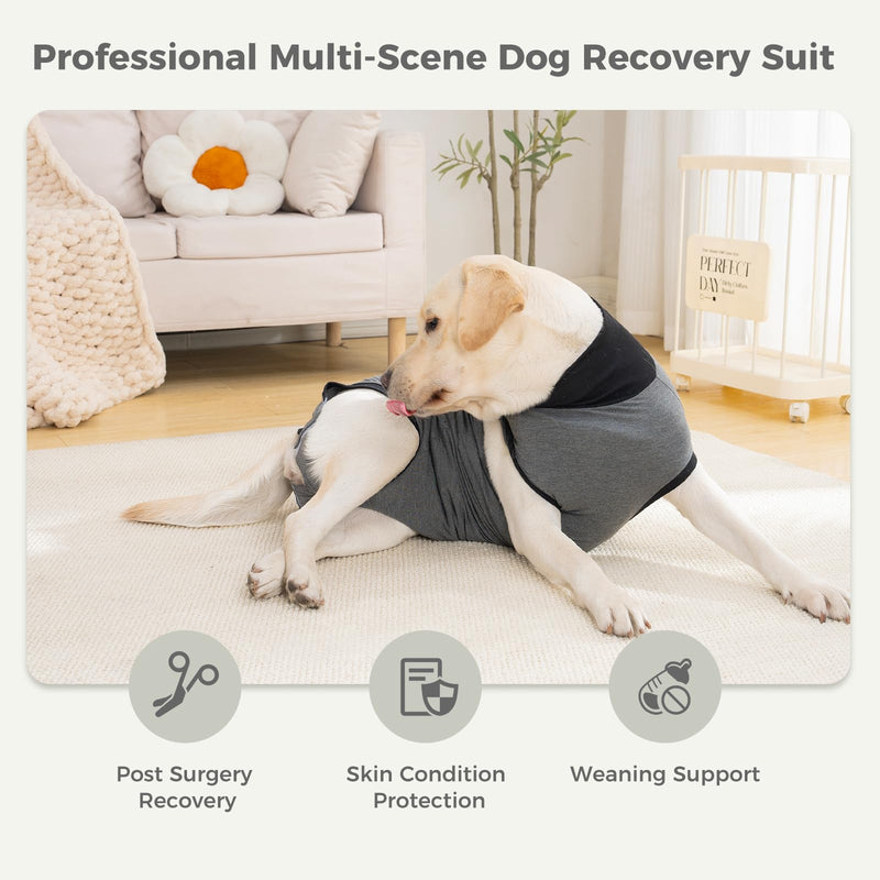 Avont Dog Surgery Recovery Suit, Anti-Licking Surgical Bodysuit for After Spay & Neuter, E-Collar Alternative for Wound Care, Comfortable Onesie for Female & Male Dogs - Grey (XL) XL