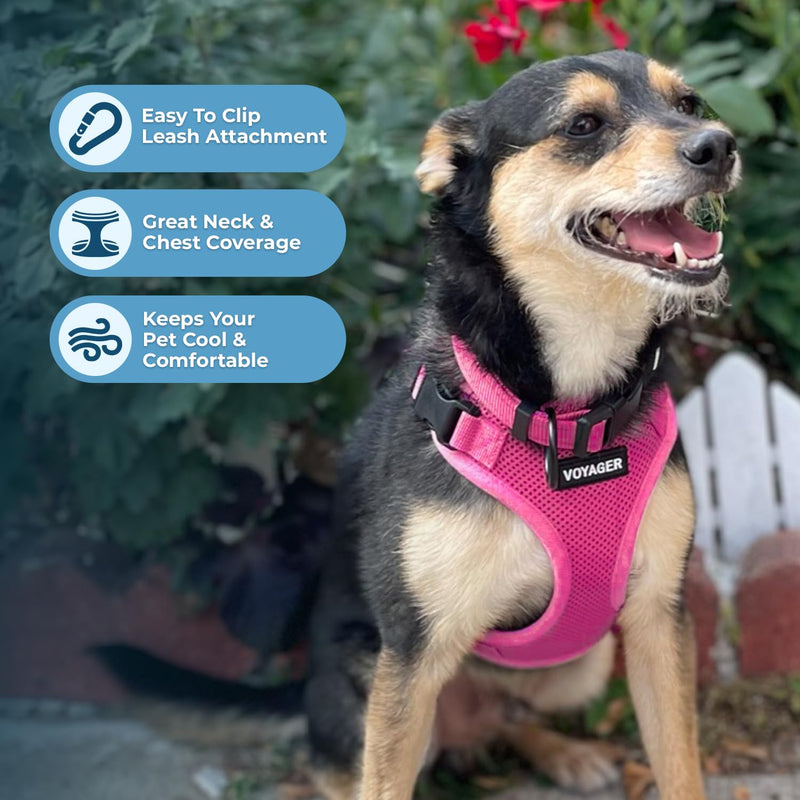 Voyager Step-in Pet Harness - All Weather Mesh, Adjustable Step in Harness for Cats and Dogs by Best Pet Supplies - Fuchsia, L Harness (Fuchsia) L (Chest: 20 - 25") - PawsPlanet Australia