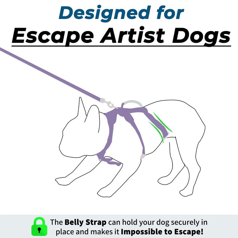 Escape Proof Dog Harness and Leash Set, Lightweight Dog Harness with Lift and Assist Handle, No Pull Reflective Pet Vest for Small Medium Dogs, Ideal for Puppy Walking and Training (Purple, M) Purple (Harness+Leash)