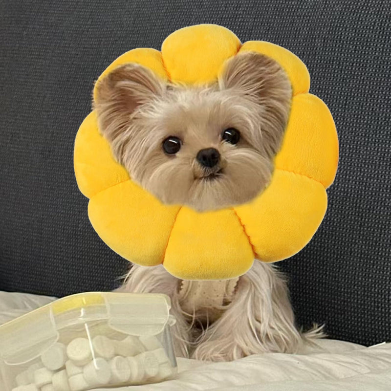 Cat Collar - Soft Protective Collar with Sunflower Design to Protect Against Licking & Scratching, Adjustable for Cats & Small Dogs
