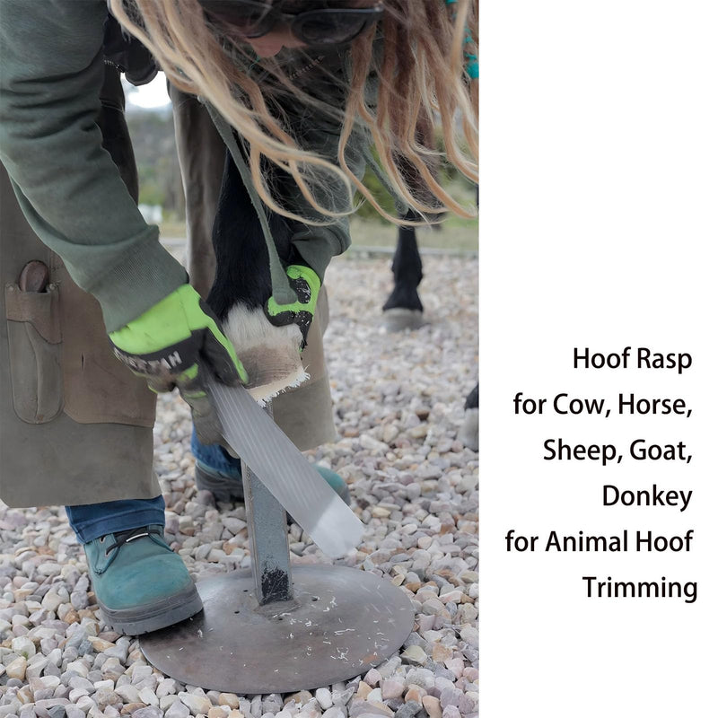 8-Inch Hoof Rasp Set (4 Pack) – Portable Precision Files for Hoof Detailing