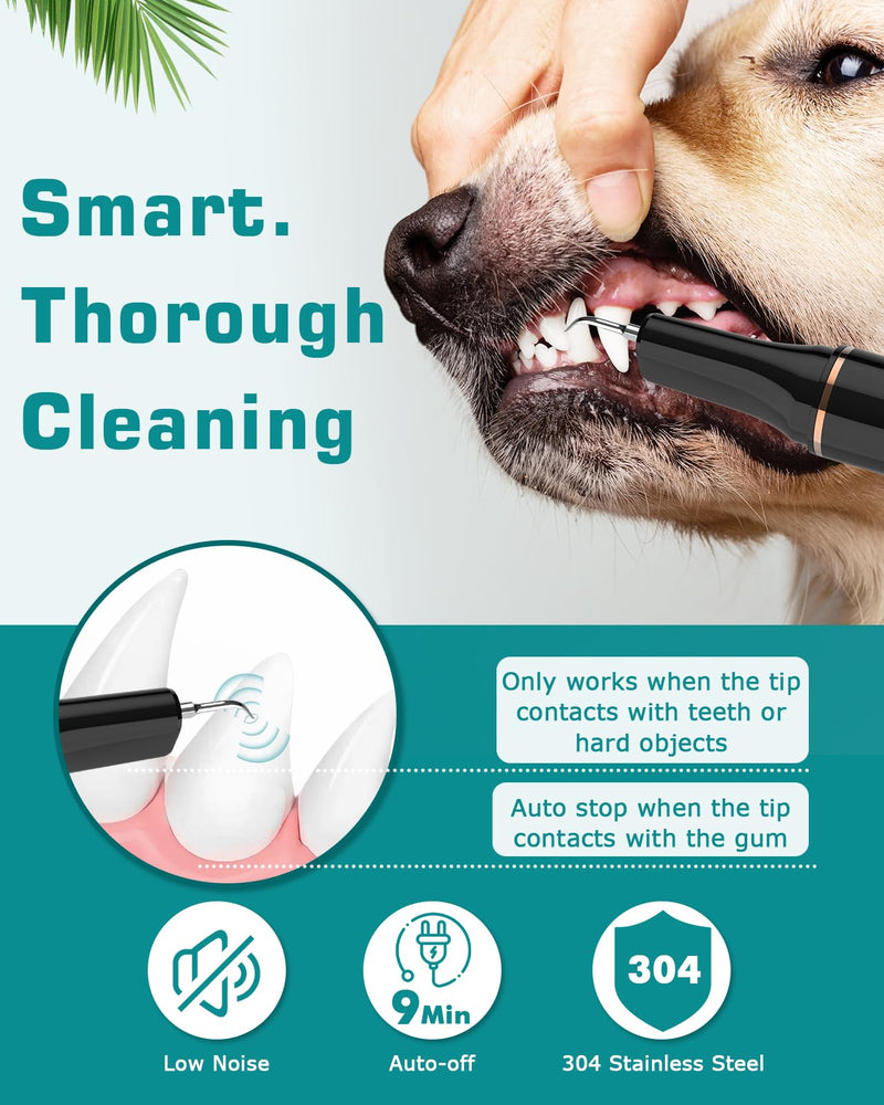 Dog Teeth Cleaning Kit 12-in-1, Pet Ultrasonic Canine Plaque Remover for Teeth with LED Light, 5 Cleaning Mode, USB Charge Dog Toothbrush Tool with Dental Tools Scaler Scraper Black - PawsPlanet Australia