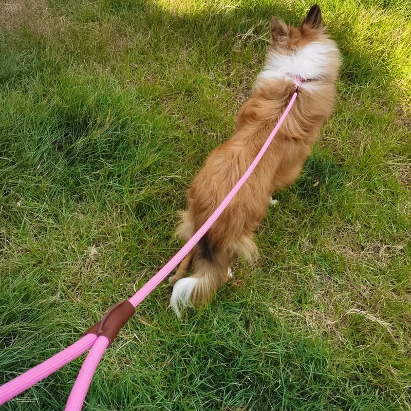 5 FT Slip Lead Dog Leash, Heavy Duty 1/2” Strong Nylon, Solid 7 Colors Training Leash, No Pull Dog Lead Great for Medium and Large Breeds (Pink) 1/2" x 5ft pink - PawsPlanet Australia