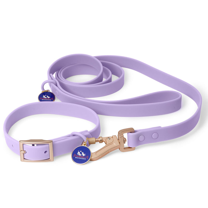 6ft Dog Leash, Dog Collars, Poop Bag Dispenser, & Dog Poop Bag Included. Waterproof Leash for Medium Dogs, with Heavy Duty Nylon PVC. Use as Puppy Collar and Leash (Purple, Medium) Purple - PawsPlanet Australia