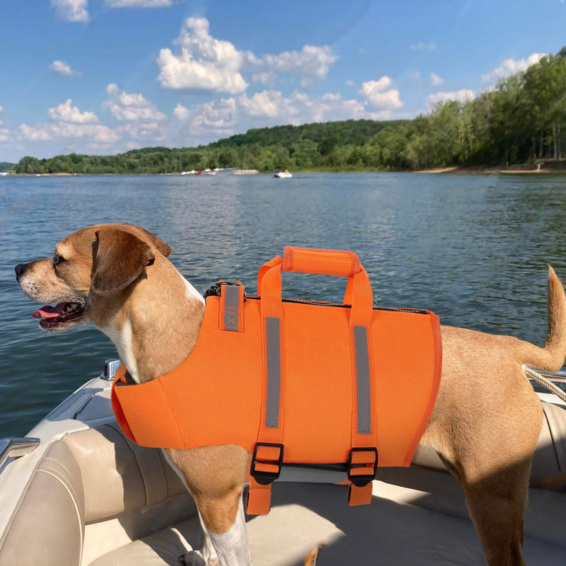 Queenmore Dog Life Jacket, Small Dog Life Vest for Swimming, Dog Life Vest for Large Medium Small Dogs, Dog Floation Vest for Boating, Adjustable Dog Swim Vest with Rescue Handle, Zipper (Orange, S) Orange - PawsPlanet Australia