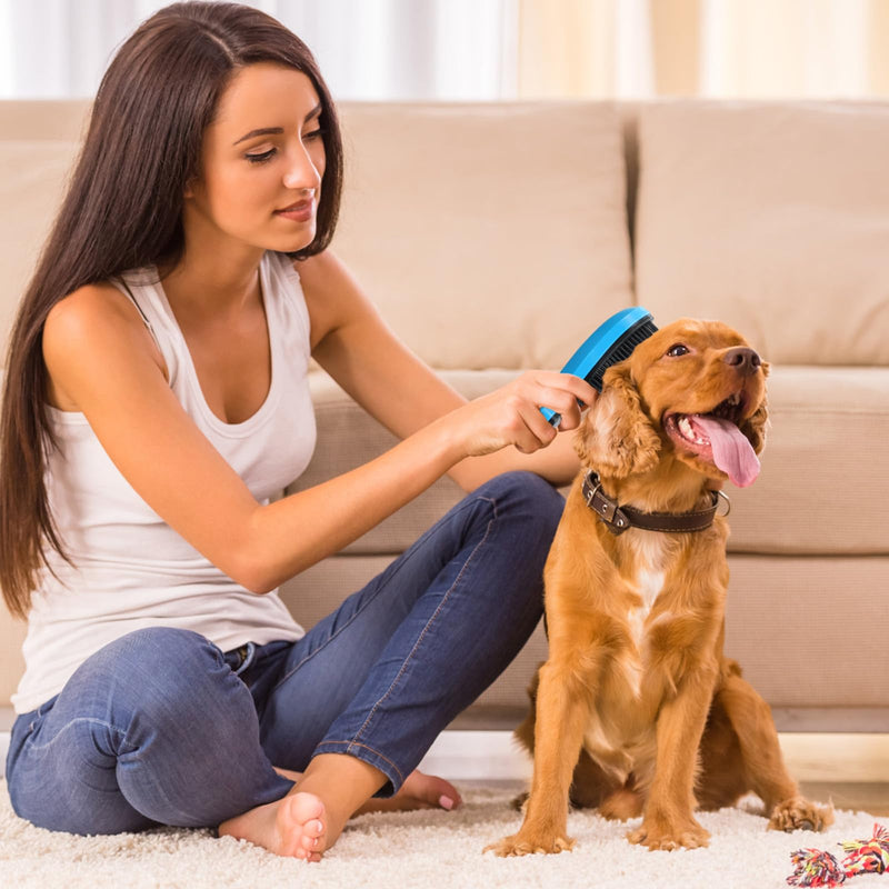 Small Dog Brush - Puppy Brush Grooming Tool for Teddy Yorkies Maltese, Gentle Hair Remover for Easy Pet Grooming at Home (Blue) - PawsPlanet Australia