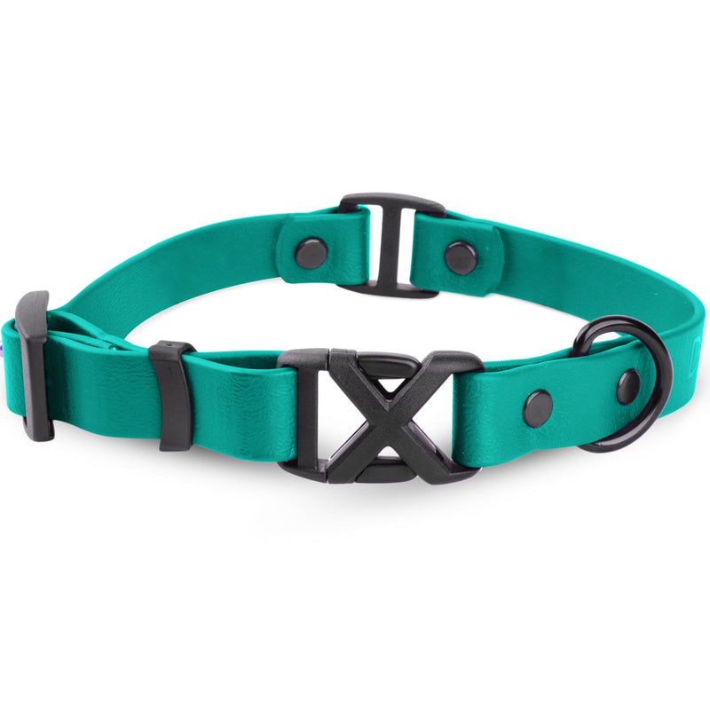 Light Duty Rivet Biothane Dog Collar - Teal, Waterproof, Odor Proof, Lightweight, Made in the USA, Curved Quick Release Plastic Buckle, Large 17-20" Neck W 1" x L 17-20" - PawsPlanet Australia